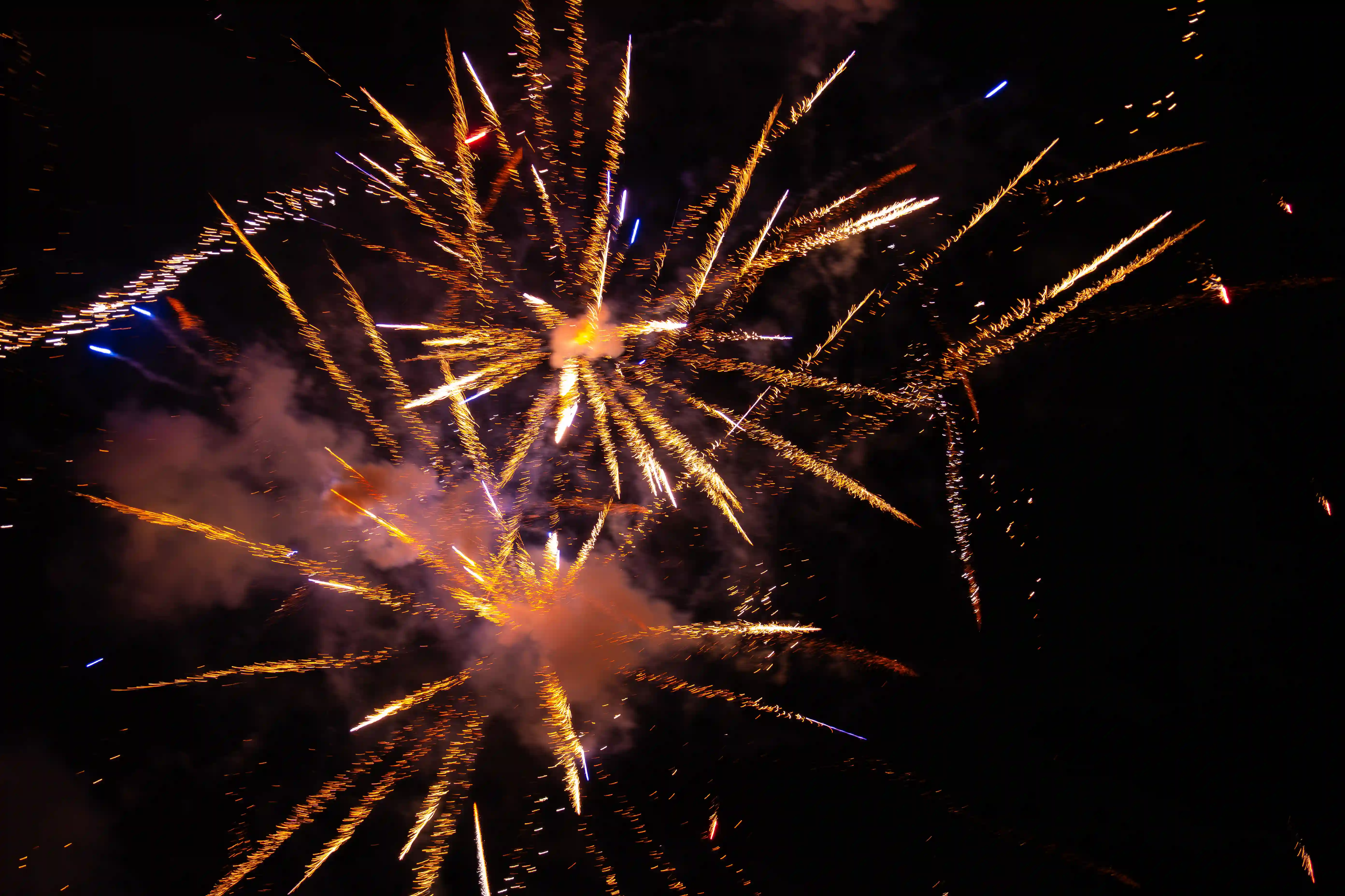 2024 Chinese New Year's fireworks