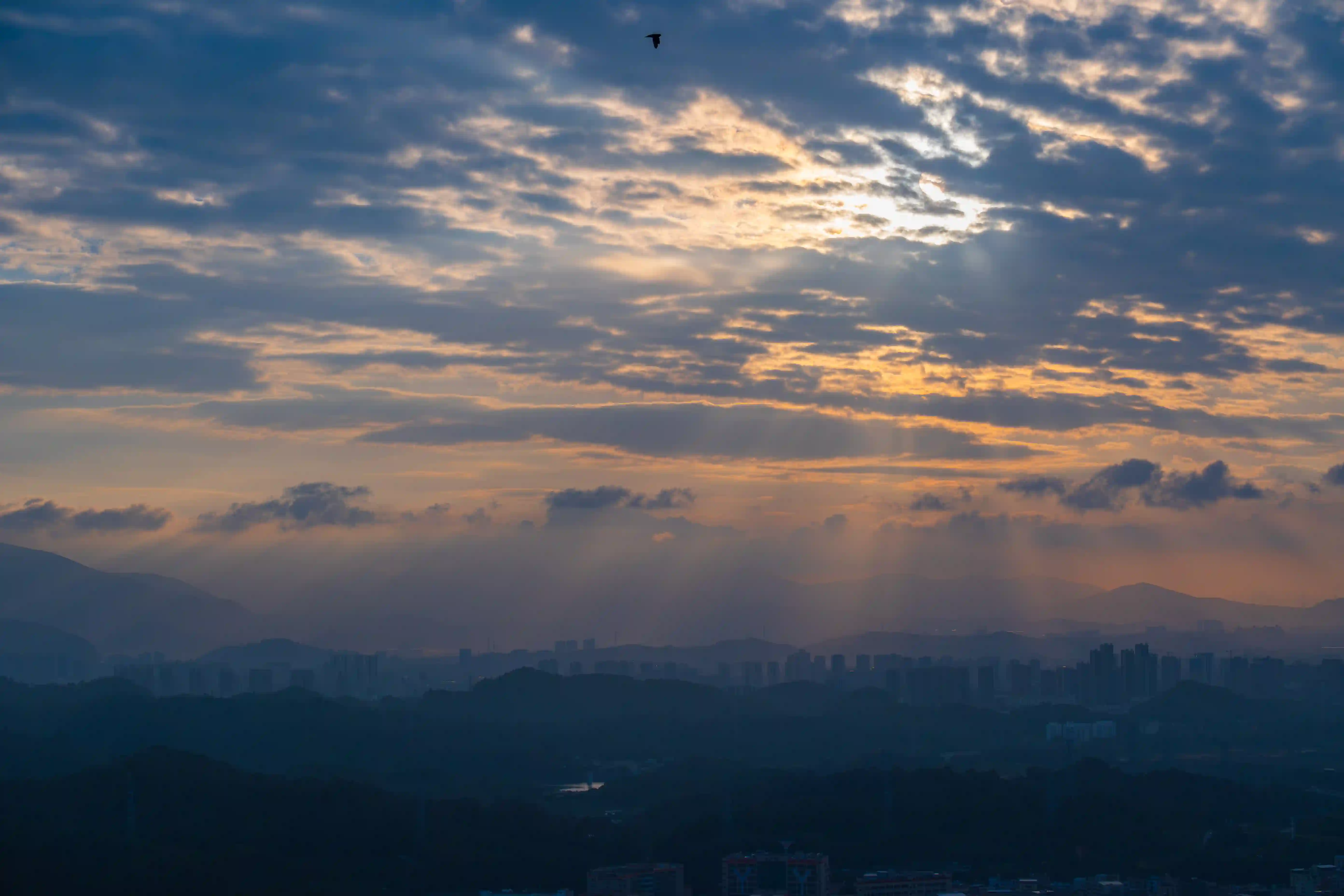 Sunrise in Dapingzhang Forest Park